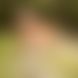 🐾 Leo, il nostro gigante buono – Ricordo infinito