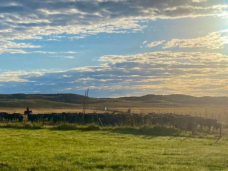 Capitol Conversations: From Pasture to Policy Continuing to Fight for Nebraska’s Cattle Industry