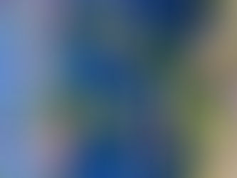 もうすぐ七夕(^^♪