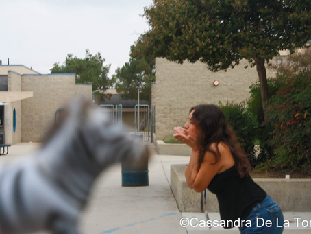 Best of Forced Perspective