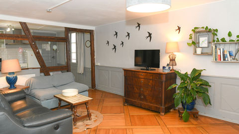 Salon spacieux et lumineux d’un gîte à Colmar, avec canapé confortable et décoration alsacienne