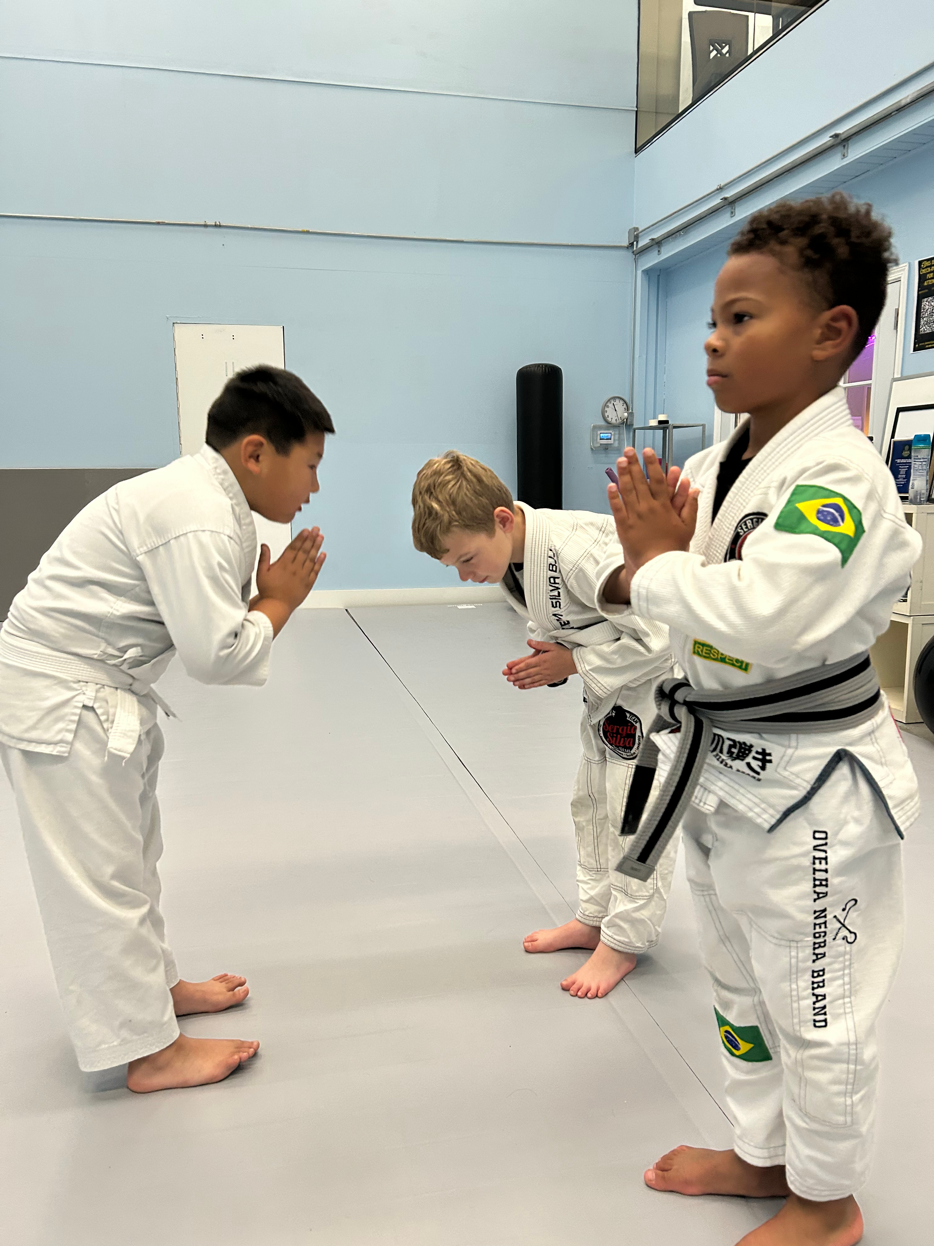 ALAMEDA JIU-JITSU / Alameda Brazilian Jiu-Jitsu Academy facility image