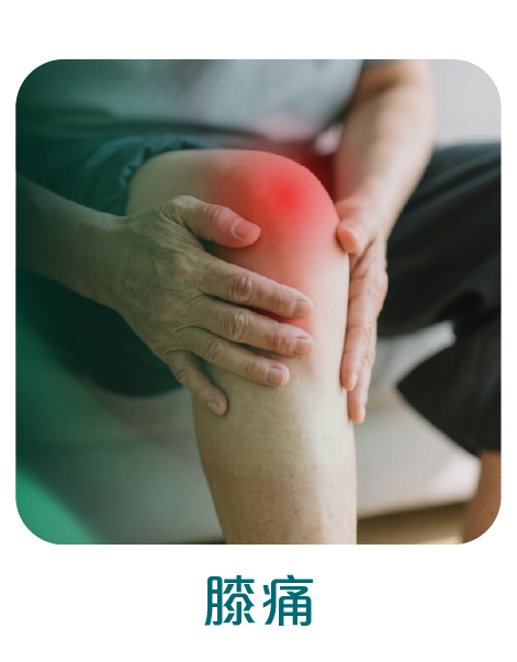 針灸工作區域 11.png