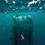 Thumbnail: Waterproof BackPack