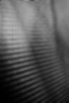pexels-brett-sayles-3653997_edited.jpg