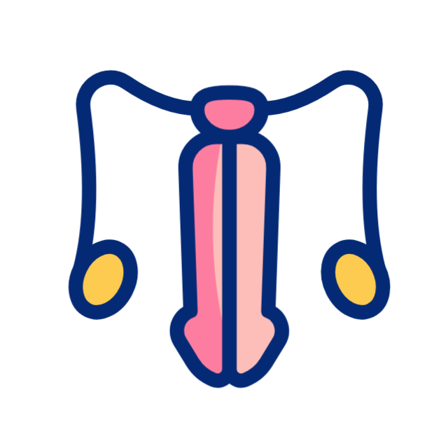 Urología