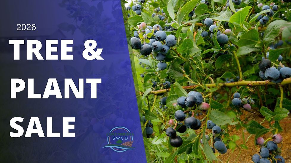 2026 Tree & Fish Sale