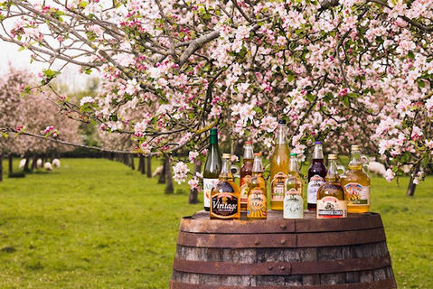 Drink Brean -Rich's Cider