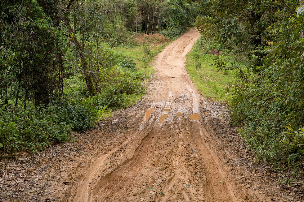 A muddy off-road trail.