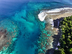 DJI_20240701195121_0037_D.jpg