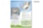 Flyer_8.jpg