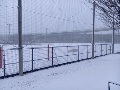 久々の雪景色&河津桜の開花