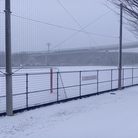 久々の雪景色＆河津桜の開花