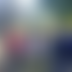 野鳥観察会実施