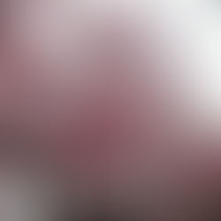 春の草花が動き始めました。