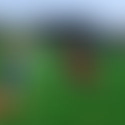 球技場オープン前イベント開催しました！