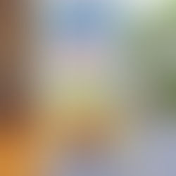 こいのぼり募集終了のお知らせ