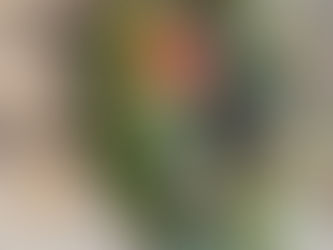 どうして緑なの？