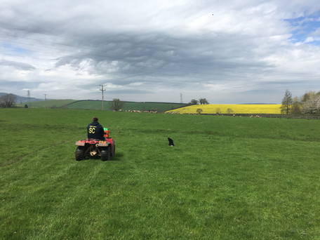 Beautiful farm views