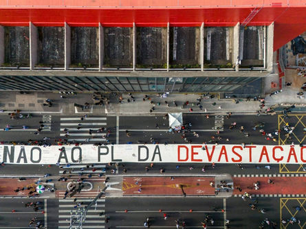 PL da Devastação: o que está em jogo para o meio ambiente?