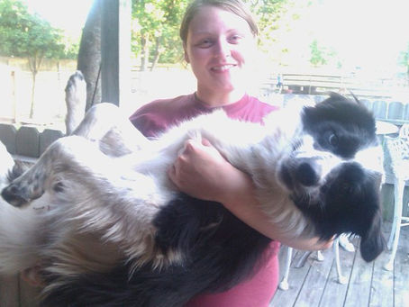 Help save Daisy - Donate Now!