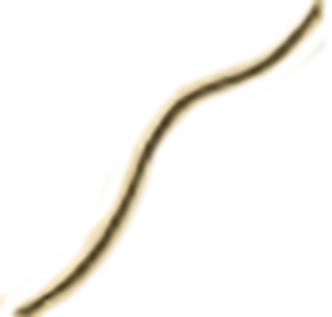 River 3