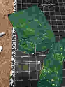 File_0004