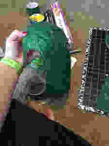 File_002