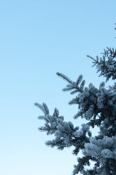 Livigno-105.jpg
