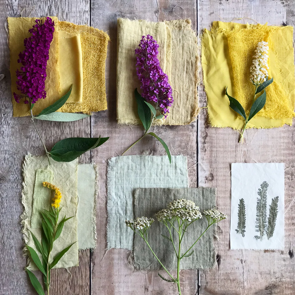 Botanical Dyes workshop.webp