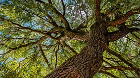 ISABELITA CROSARIOL_20251012_140701_0000.png