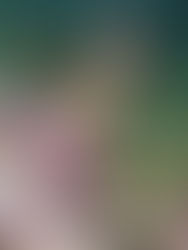 Louis Vuitton: "Fashion Eye Italian Rivieras" por Slim Aarons