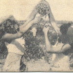 zikim at 14 grapes
