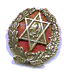 tiny semel bogrim