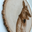 Thumbnail: Custom laser engraved pet portrait on live edge wood round – dog memorial keepsake