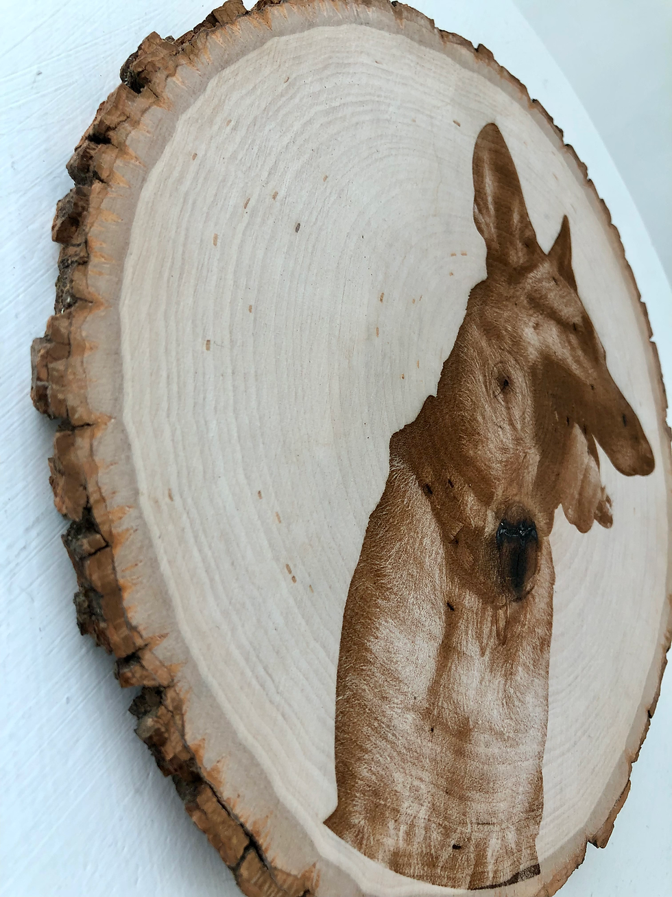 Thumbnail: Custom laser engraved pet portrait on live edge wood round – dog memorial keepsake