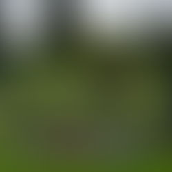 Avé Instagram : une soirée Romaine inoubliable au château d’Arribas 🏛️