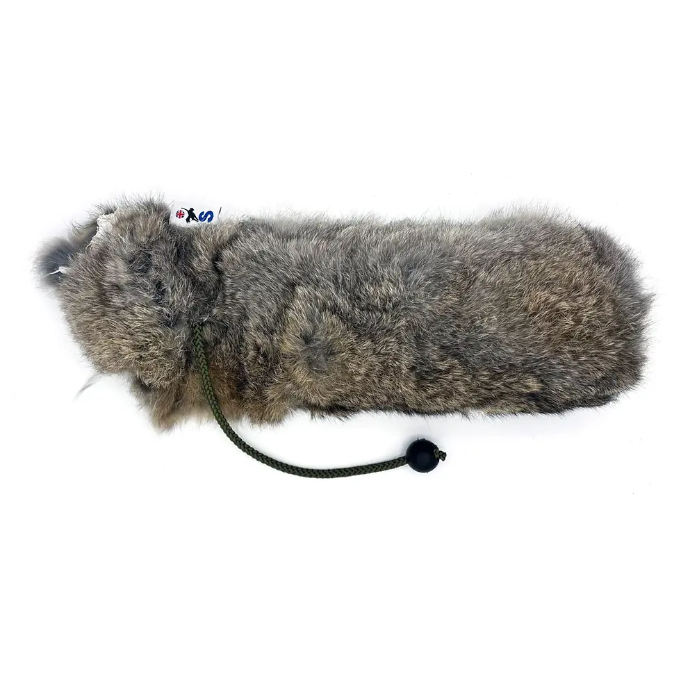 Thumbnail: Rabbit Dummy