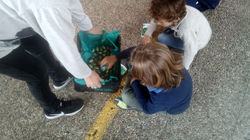 ELIGIENDO LOS HUEVOS DE CHOCOLATE