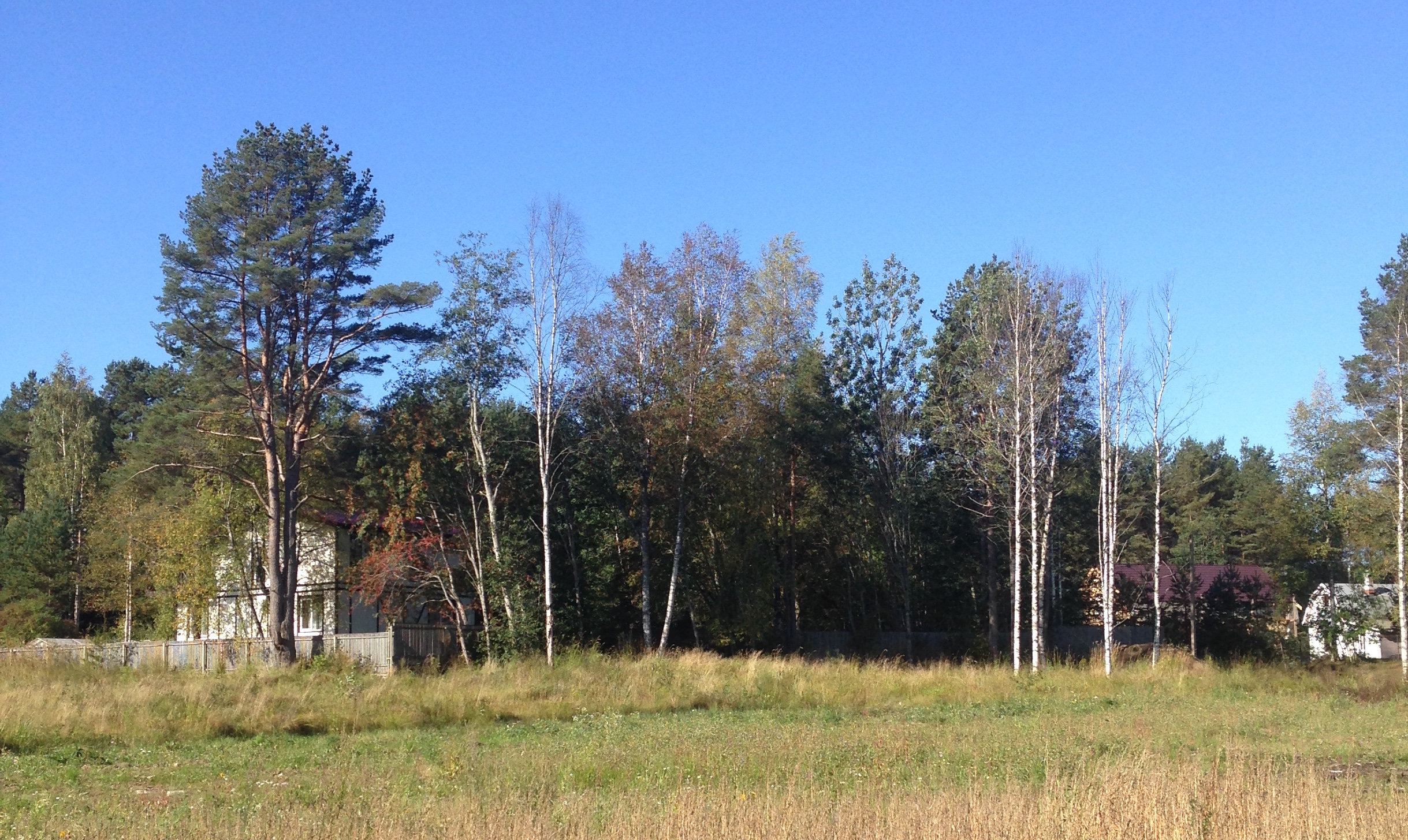 Купить Дом В Солнечное Курортный Район