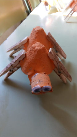 CAMELLOS DEL DESIERTO