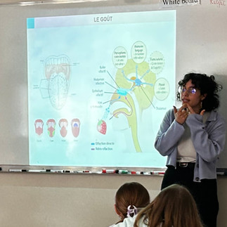 Présentation du fonctionnement du cerveau