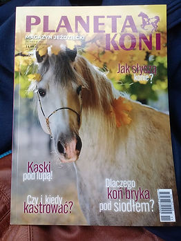 74532766_730162810831068_366753796922644