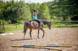 61795808_625726674608016_331266071293696