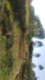 IMG-20171211-WA0001.jpg