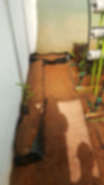 20171028_153347.jpg