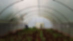 20180508_122420.jpg