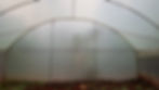 20180508_122413.jpg