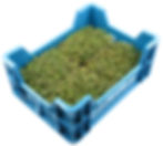 mizuna box