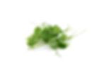 pea shoot afgesneden - 100g per pot